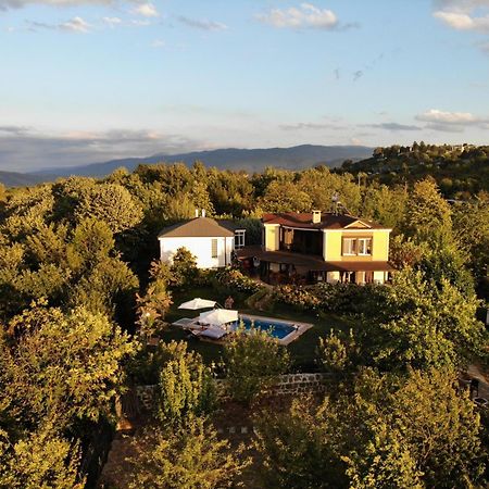 Bizim Ev Βίλα Sapanca Εξωτερικό φωτογραφία